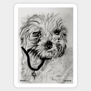 Hand drawn 'Labradoodle' portrait Sticker